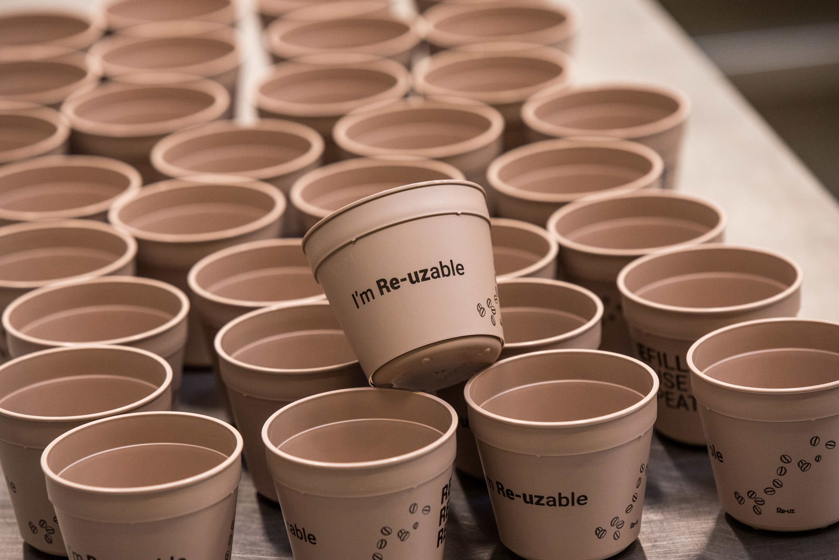 Lavage gobelets Festicup